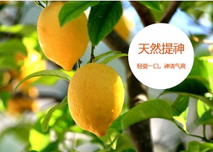 經(jīng)過太陽(yáng)能殺蟲燈防治后的檸檬